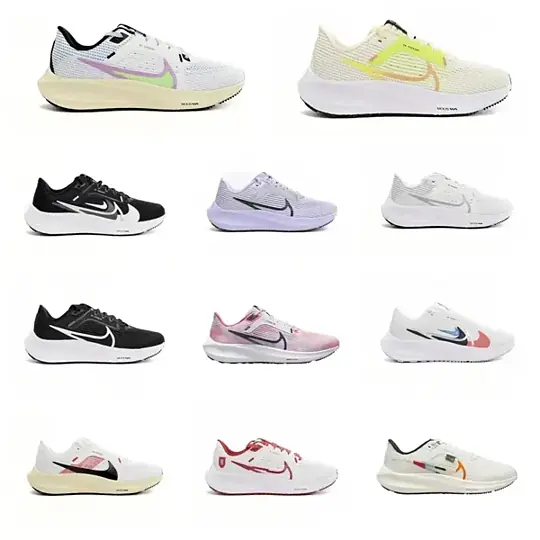 NIKE Air Zoom pegasus40