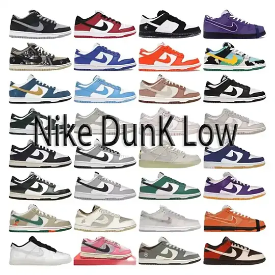 Nike Dunk Sneakers